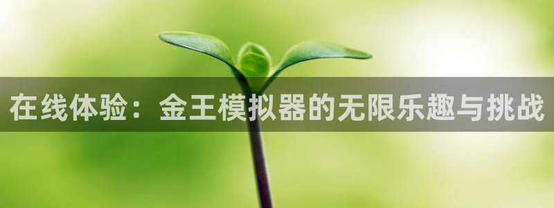 彩虹多多体育在线注册：在线体验：金王模拟器的无限乐趣与挑战