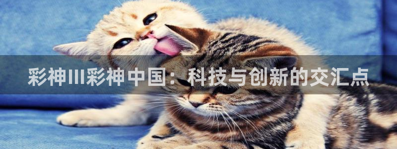 彩虹多多4：彩神III彩神中国：科技与创新的交汇点