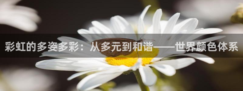 彩虹多多平台注册入口：彩虹的多姿多彩：从多元到和谐——世界颜色体系