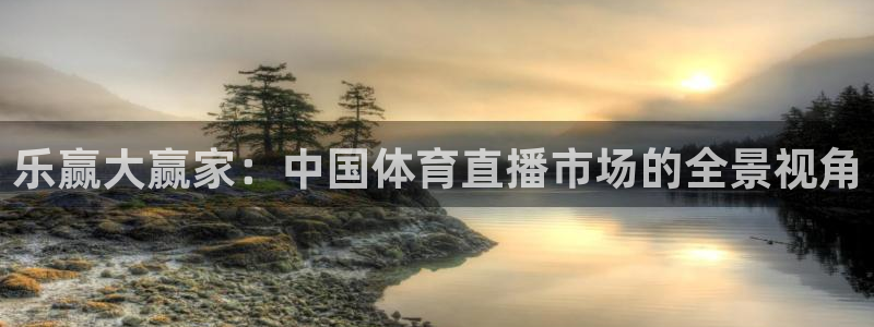 彩虹多多凯捷平台注册链接：乐赢大赢家：中国体育直播市场的全景视角