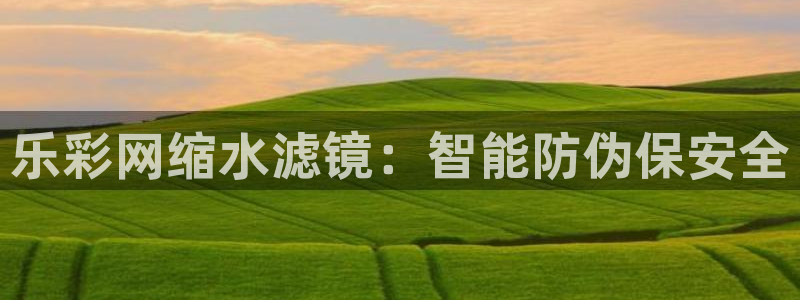 彩虹多多集团股票：乐彩网缩水滤镜：智能防伪保安全